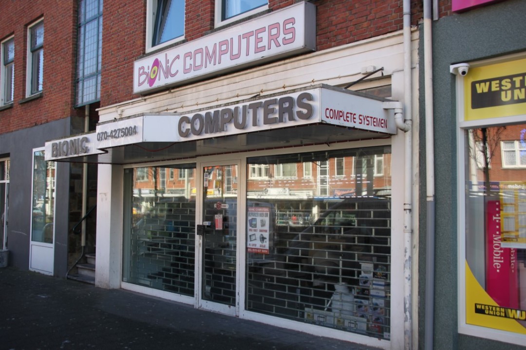 Bionic computers